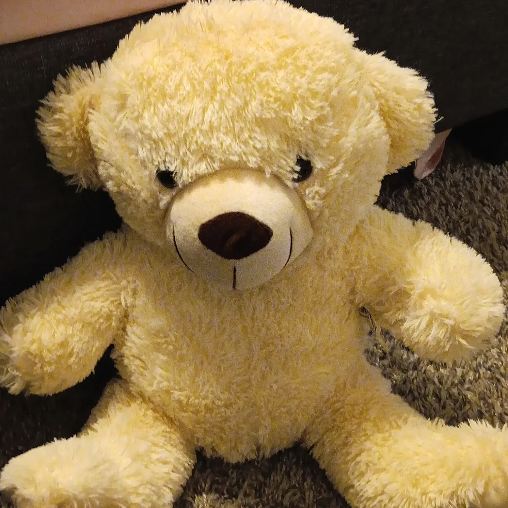 Teddy - Picture 2 of 3